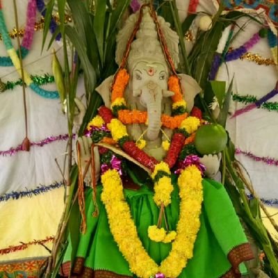 SAMBASI61548530's profile picture. ⚘⚘