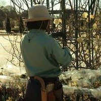 ずぼらガーデナー (@zuboranaagata) Twitter profile photo