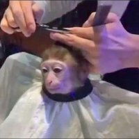 iMTatox (@imtatoxx) 's Twitter Profile