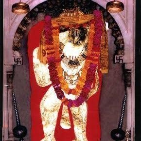 KapilKu02080325's profile picture. Proud to be a sanatani (हिन्दू)
big fan of  @yogi ji. views are personal.  you can disagree with them.  💯 % follow back