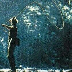 ahnsi's profile picture. 평화롭고 공정하고 순리대로 흘러가는 세상이 되기를