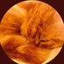 Aurelia Profile picture