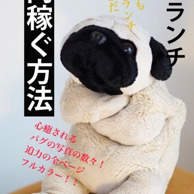 pug_lunch's profile picture. パグのシワとシワを合わせて幸せ (DMとリプライはパグが管理しています)🏠@pug_living