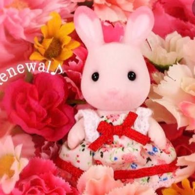 興味のある方フォローさせて頂きます🐰💓