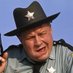 Sheriff J.W. Pepper (@JWPepperSheriff) Twitter profile photo