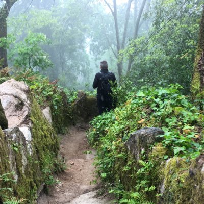 TomisWisniewski's profile picture. 