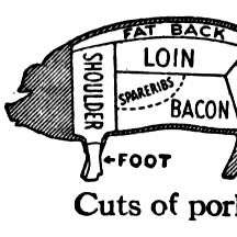 FatbackCollect's profile picture. 