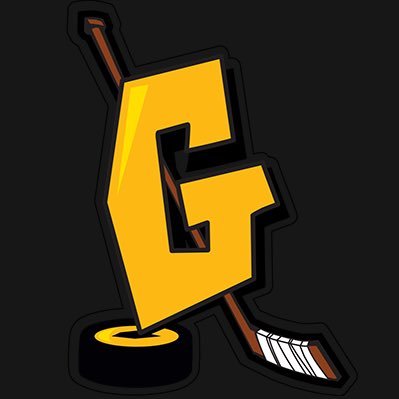 hockeychalons's profile picture. Compte officiel du Club de Hockey sur glace de Châlons-en-Champagne | retrouvez-nous également sur Facebook et Instagram
