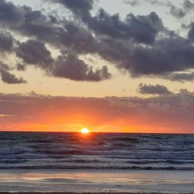 nat_rep's profile picture. 