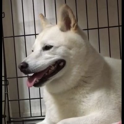 hennra_nc's profile picture. 