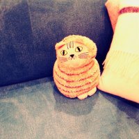asam (@aaarrrasan) 's Twitter Profile