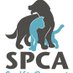 SPCA Swift Current (@spcaswift) Twitter profile photo SPCA Swift Current (@spcaswift) Twitter profile photo
