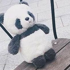 みなみさんのプロフィール画像