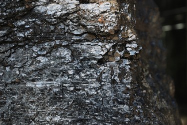 PghSeam's profile picture. The Pittsburgh Seam is a collection of individuals whose mission is to preserve and protect the environment from the growing strength of the coal industry.