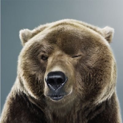 bearzus Profile Picture