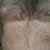 HairyBeardedMe (@hairybeardedme) Twitter profile photo HairyBeardedMe (@hairybeardedme) Twitter profile photo