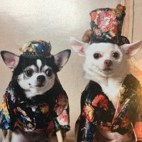Carmen (@carmen57_54) 's Twitter Profile Photo Carmen (@carmen57_54) 's Twitter Profile Photo