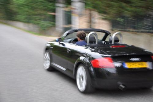 Ipatpet's profile picture. 