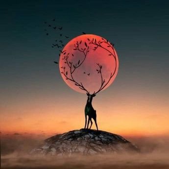 KentangGodog4's profile picture. 