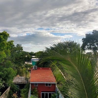 California girl in Merida, MX...
married to a Yucateco... running a B&B...teaching about local plant foods...making art...trying to be a good human