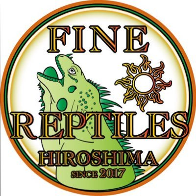 FReptiles Profile Picture