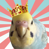 インコ姉さん (@parakeet135) 's Twitter Profile