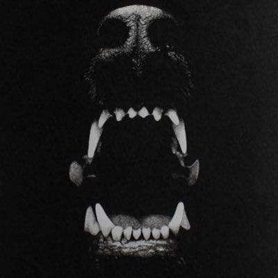 legarstho's profile picture. J'arrive comme la cerise sur legarstho