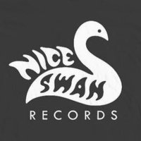 Nice Swan Recordings(@NiceSwanRecords) 's Twitter Profile Photo