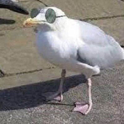 ceistanさんのプロフィール画像
