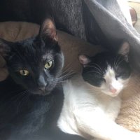 Rogue & Groot - and Goose (@grootrogue) 's Twitter Profile