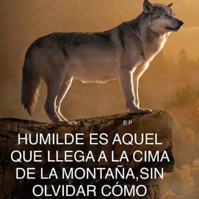 Miguel53544339's profile picture. Soy un chico respetuoso dispuesto a complacer a chicas y fantasías de parejas 100% heterosexual.100% sano y con muchas ganas de sacarte muchos orgasmos