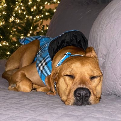 ChirsRhine's profile picture. 