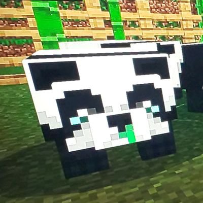 ゆうクラ 村の見回りをしていたら パンダや蜂がdeathポーンしている 蜂は ラスト一匹になってしまったので今度探すとして 今日はパンダを繁殖しました 1匹目の繁殖で 茶色パンダが産まれました 3匹繁殖したので また少し村が賑やかになり