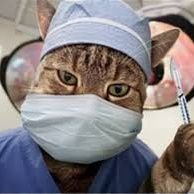 Ilovecanada13's profile picture. White , straight, CIS, male  but dont hold that against me not a bigot. films, rollercoasters,tattoos.