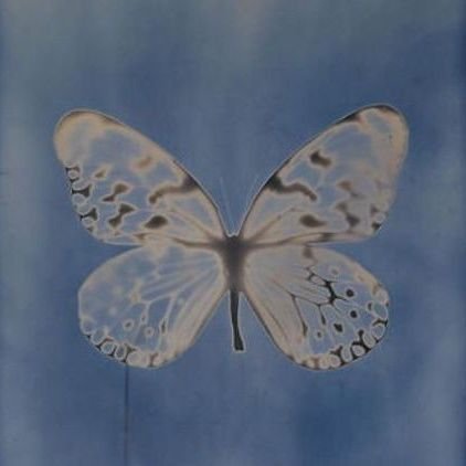 txtharem's profile picture. let's appreciate all #TXT ships, shall we?