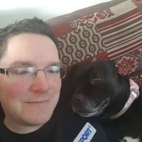 Paul Roche (@rochepbob) 's Twitter Profile