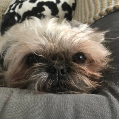 cra99le's profile picture. Husband, father, increasingly patriotic. Cultural Christian. Love my dogs. Advance_UK member. https://t.co/Iecp3ecd5G