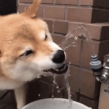 gululu93790's profile picture. 