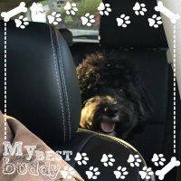 FaithDriven47 (@justdandb47) 's Twitter Profile