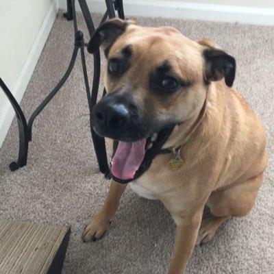 LiamCorbally6's profile picture. Class 2023