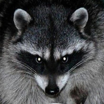 Diego Salgadoさんのプロフィール画像