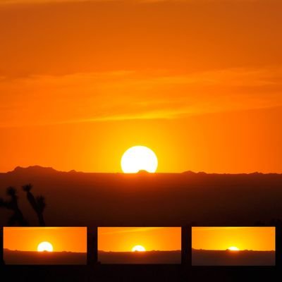 eceegirl's profile picture. 🌻