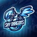 Sky Dragons Gaming (@skydragonsgami1) Twitter profile photo Sky Dragons Gaming (@skydragonsgami1) Twitter profile photo