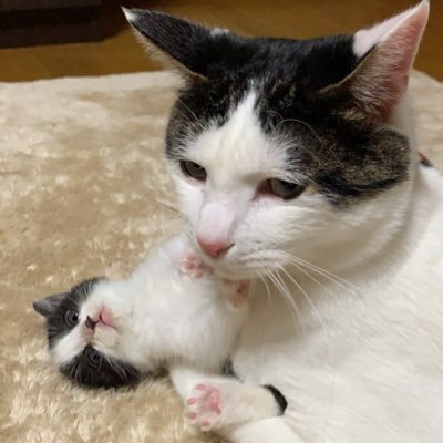 まるさんのプロフィール画像