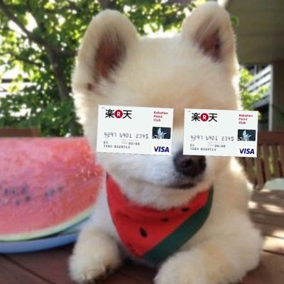 LuvSkyaxela's profile picture. UVERworld・SPYAIR・グッドモーニングアメリカ・ONE OK ROCK・MY FIRST STORY・MAN WITH A MISSION・Fear, and Loathing in Las Vegas･PassCode･THE ORAL CIGARETTES 【next】UVER 12/31