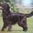 doramusko_m's profile image