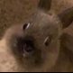 muuuvdさんのプロフィール画像