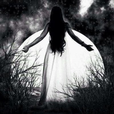 Night_Light22's profile picture. Truth to Light. Faith. Family. Freedom. Future.