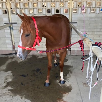 Horse racing enthusiast/ownerKeen AFL Nrl supporter especially manly sea eagles