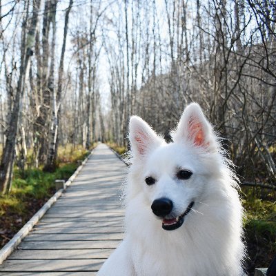 LindaPhanpy's profile picture. Architecting